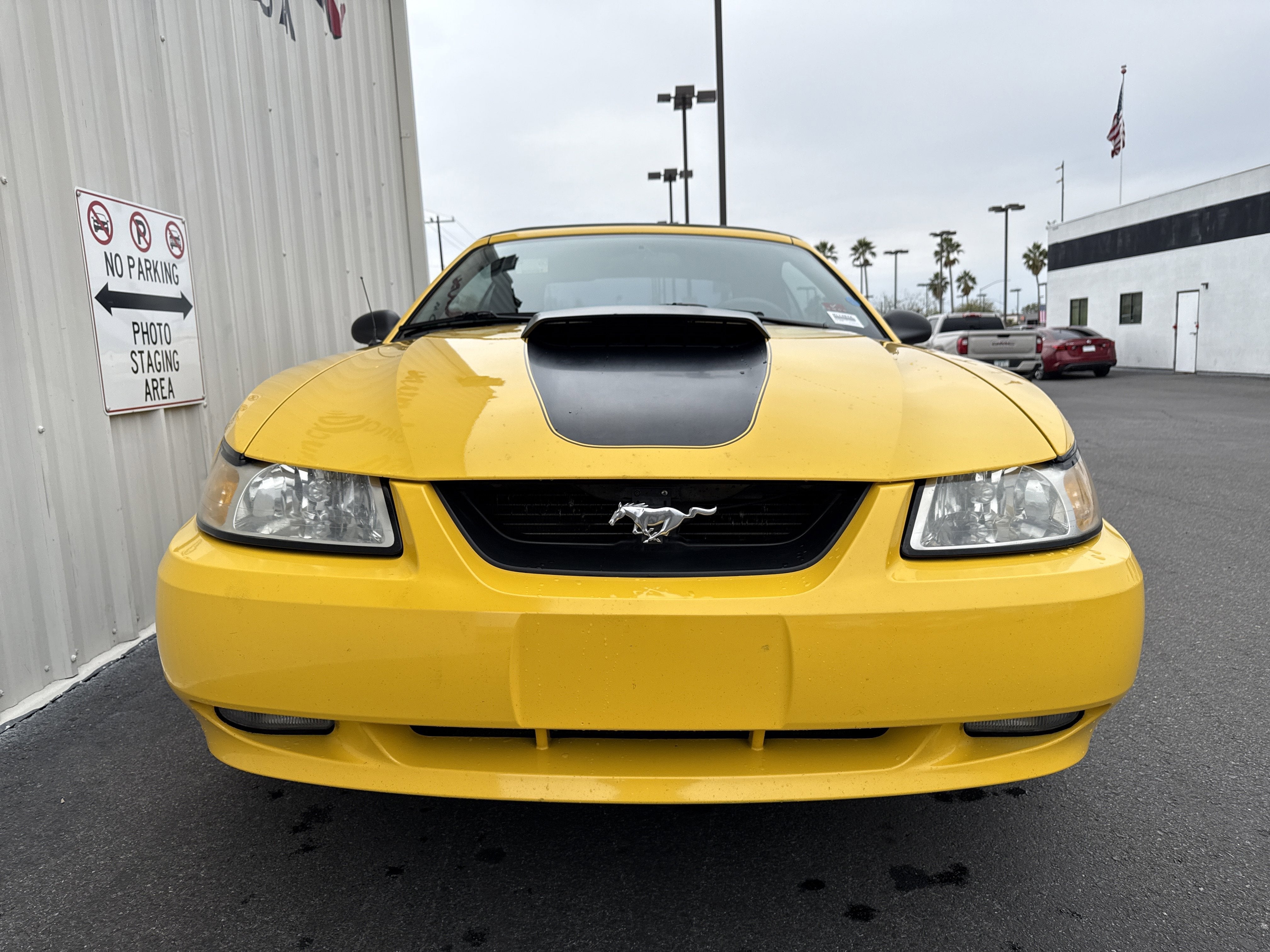1999 Ford Mustang GT