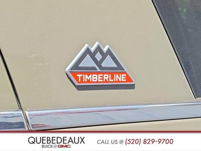 2024 Ford Expedition Timberline